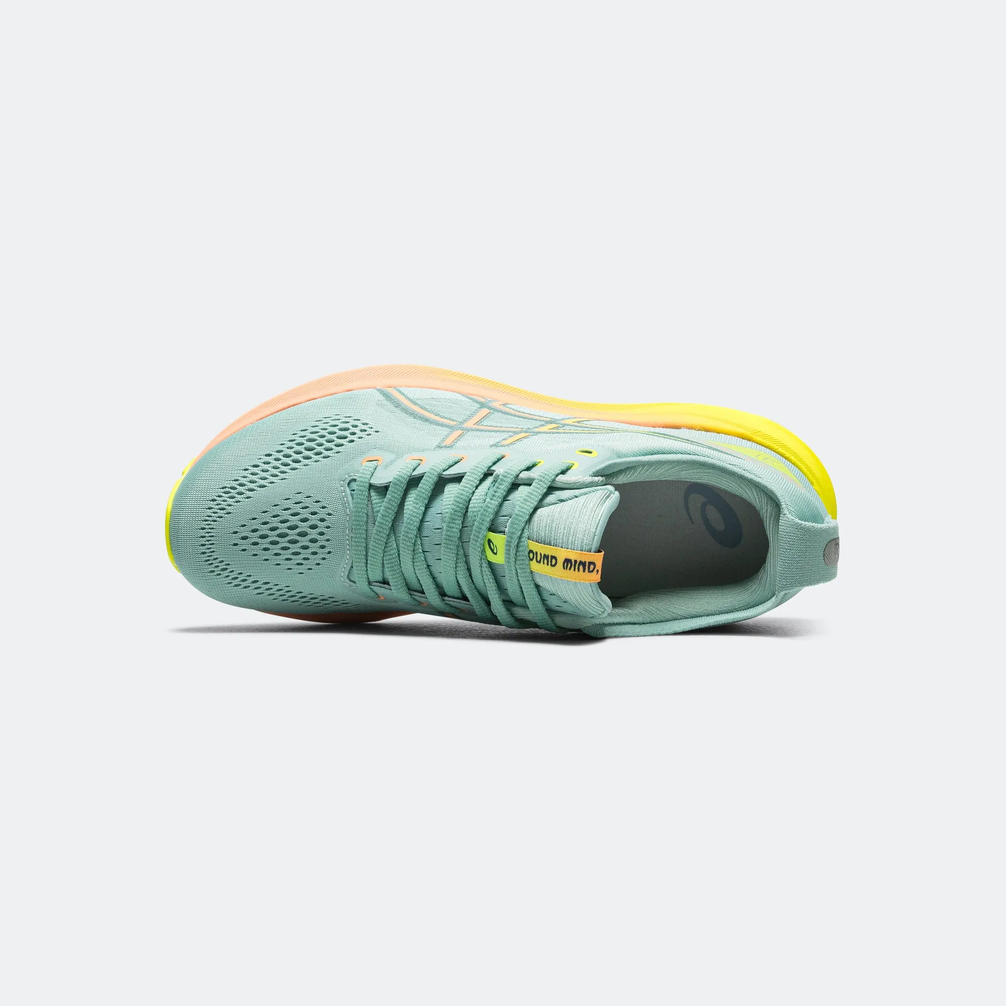 Womens GEL-Kayano 31 'Paris' - Light Celadon/Paris